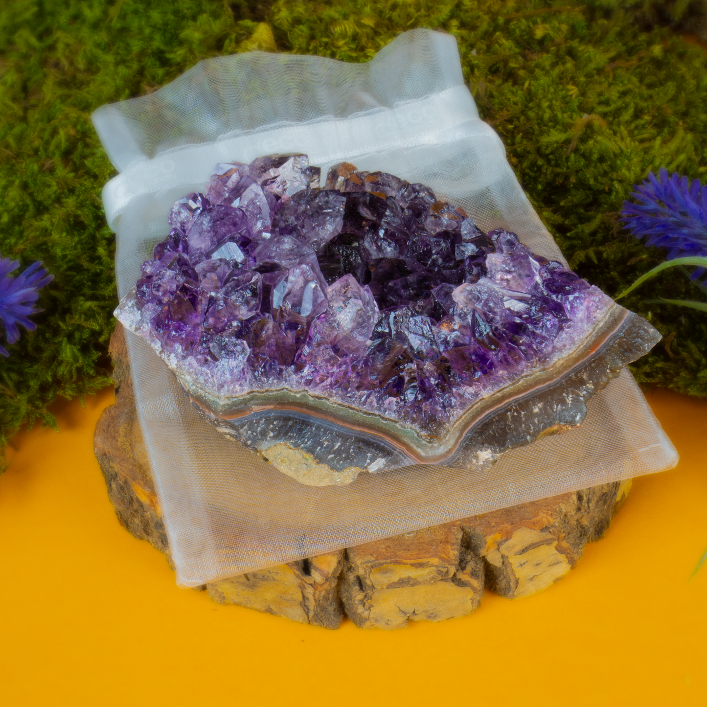 Amethyst Kristalldruse